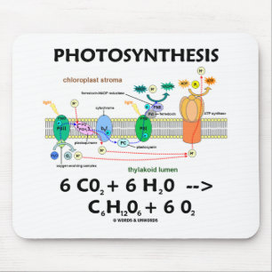 Formel der Fotosynthese-(Chemikalie) Mousepad