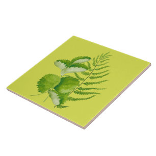 Formes en vert sur carreaux en céramique