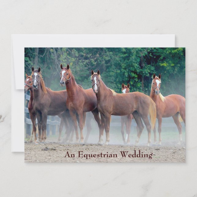 Förmliche Liebe für Hochzeiten von Pferden Einladung (Vorderseite)