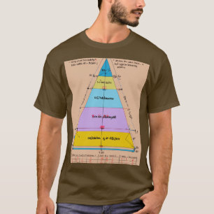 "Formula Fundamentals: Physics Edition" T-Shirt