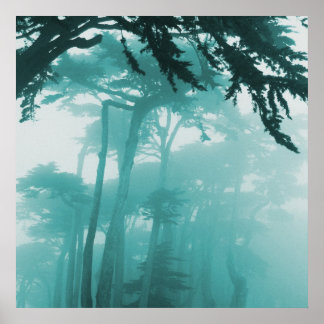 Forrest Fog Foto Gemälde Poster