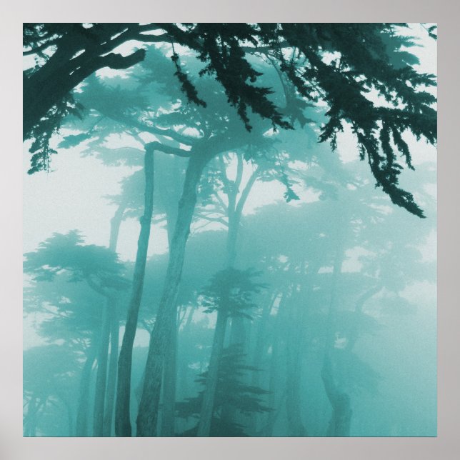 Forrest Fog Foto Gemälde Poster (Vorne)