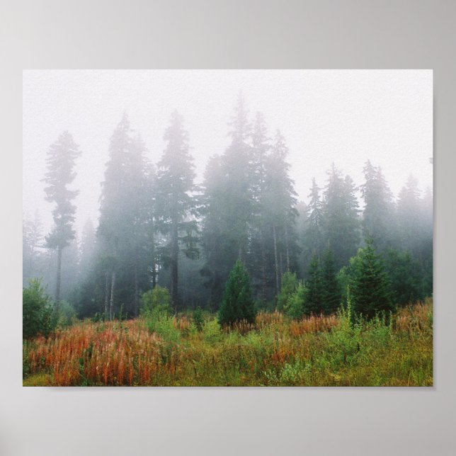 Forrest Fog Pine Tree Value Plakatpapier Poster (Vorne)