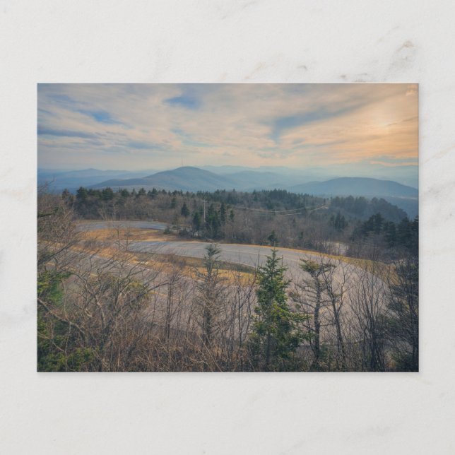 Forrest Gump Curve Postkarte (Vorderseite)