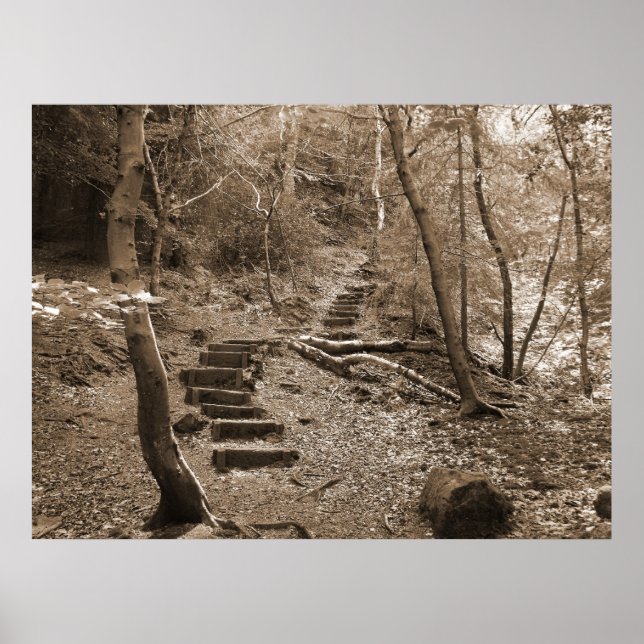 Forrest Steps XL Canvas Poster (Vorne)
