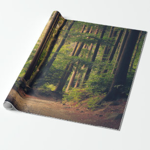 FORSTBÄUME GESCHENKPAPIER