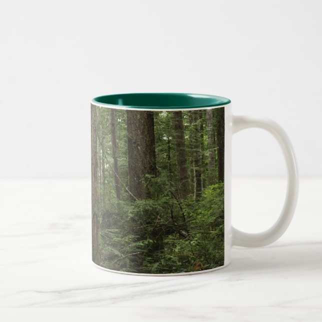 Forstbaumen und Ferns-Tasse Zweifarbige Tasse (Rechts)