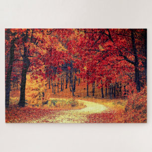 Forststraße - Herbst - Schöne Jahreszeit - Fall
