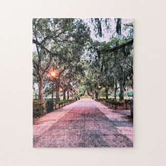 Forsyth Park Abend Puzzle