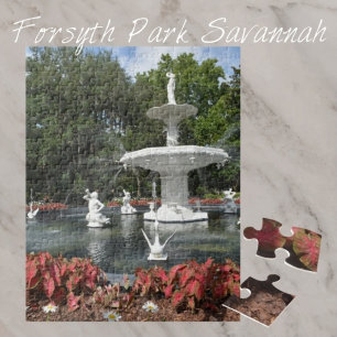 Forsyth Park Fountain Savannah Georgia Fotografie