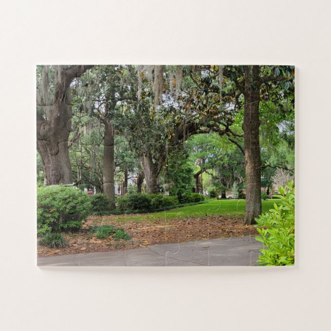 Forsyth Park, Savannah (Horizontal)