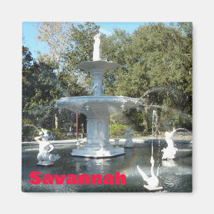 Forsyth Park-Savanne-Brunnen-Foto-Magnet Magnet