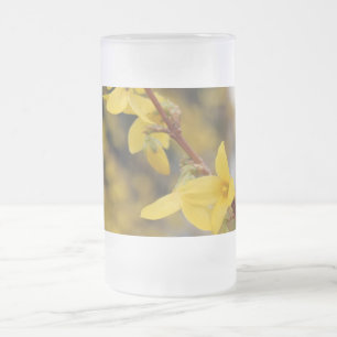Forsythia, 迎 春 花, goldene Glocken Mattglas Bierglas