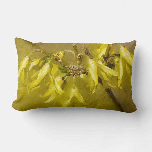 Forsythia - Springtime Sunshine Lendenkissen (Vorderseite)