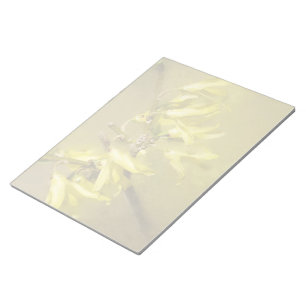 Forsythia - Springtime Sunshine Notizblock