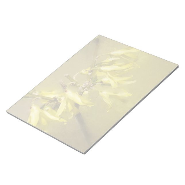 Forsythia - Springtime Sunshine Notizblock (angewinkelt)