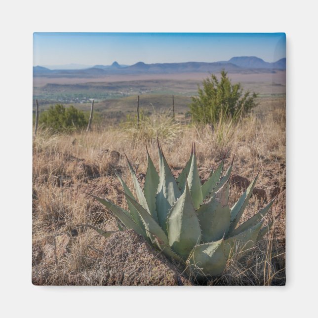 Fort Davis Mountains Agave Magnet (Vorne)
