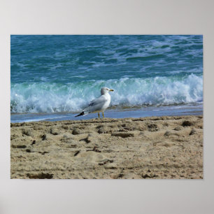 Fort Lauderdale, Florida Poster
