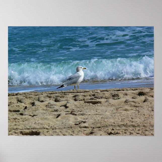 Fort Lauderdale, Florida Poster (Vorne)