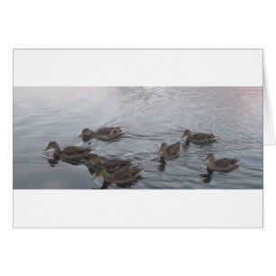 FORT RICHARDSON ALASKA