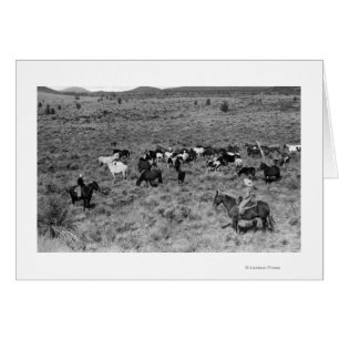 Fort Rock, Oregon Cowboy dans le jardin du diable