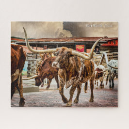 Fort Worth Cattle Drive, Longhorn
