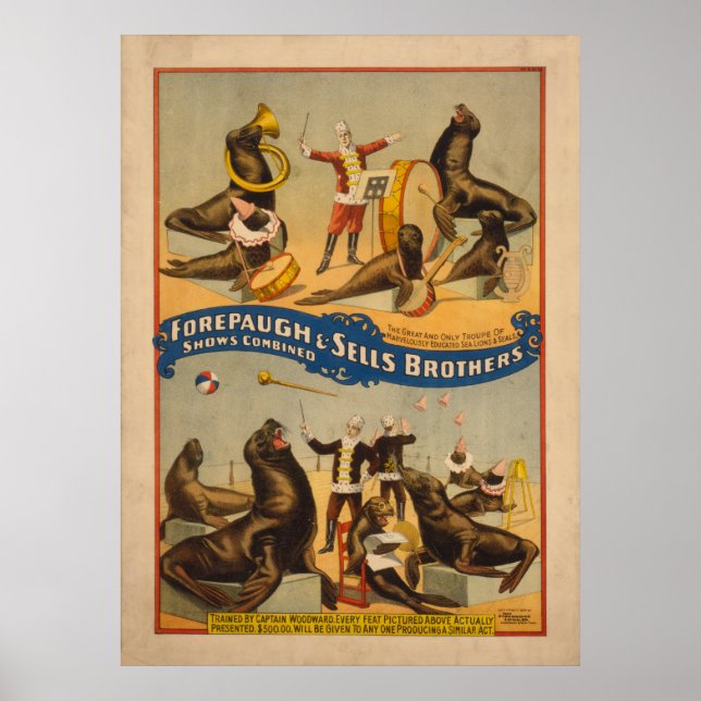 Fortgeschrittene Siegel Circus Poster - Forepaugh  (Vorne)