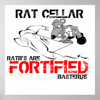 FORTIFIZIERTER POSTER