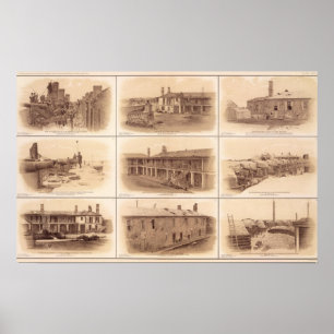 Forts Sumter & Moultrie Poster