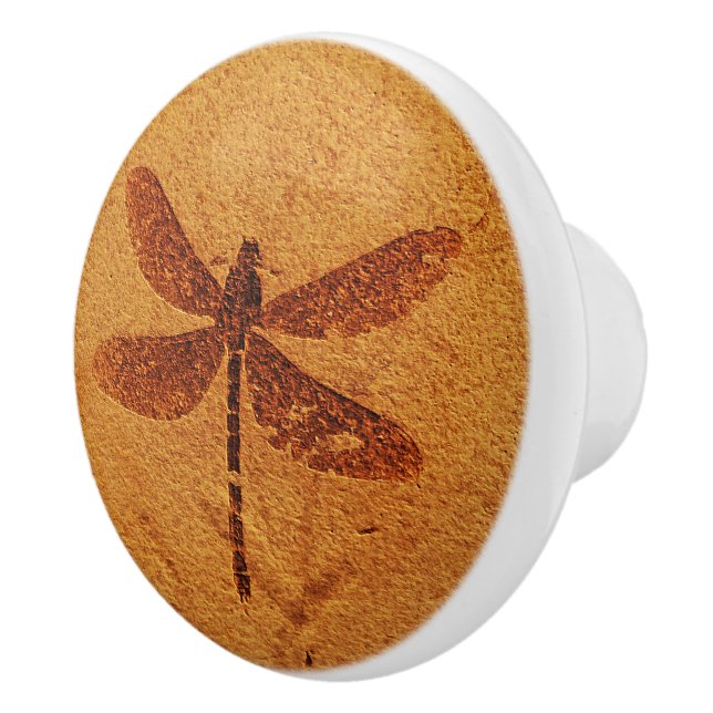 Fossil Dragonfly Keramikknauf (Rechts)