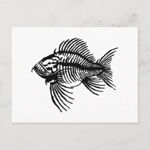Fossil Fish Postkarte