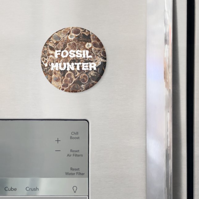 Fossil Hunter Turritella Agate Image Magnet (In Situ (Kühlschrank))