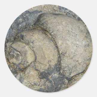 Fossil Runder Aufkleber