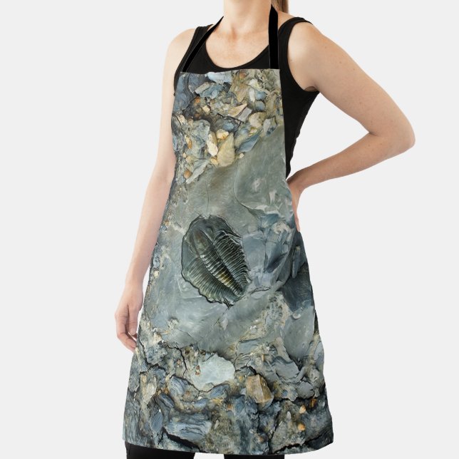 Fossil Schürze (InSitu)