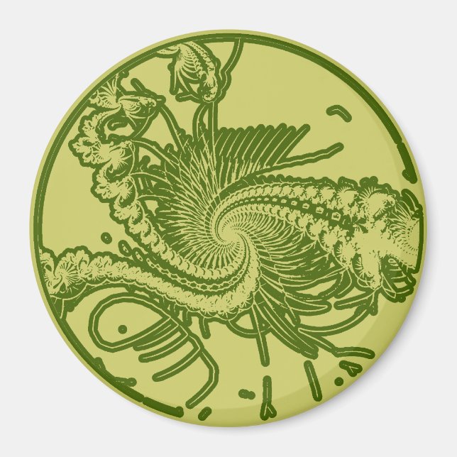Fossil ver. 4 magnet (Vorne)