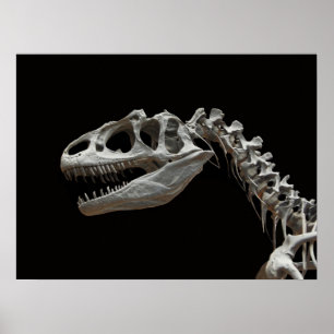 Fossile Allosaurus Kopf und Hals Poster