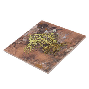 Fossile Keramik Tile Fliese