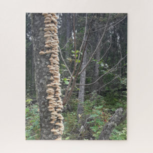 Fossile Korallenstruktur Puzzle