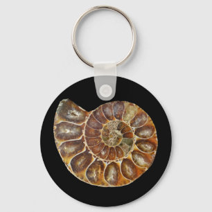 Fossile Muschel Schlüsselanhänger