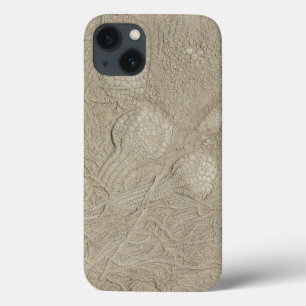 Fossile Sammlung Quallen iPhone 13 Hülle