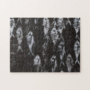 Fossile weiße Fische im schwarzen Hintergrund