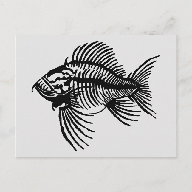 Fossilienfisch-Postkarte Postkarte (Vorderseite)