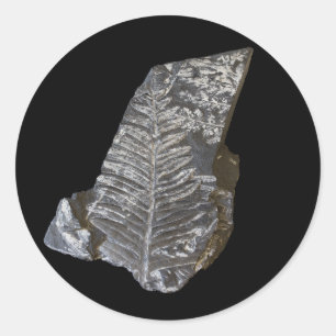 Fossilisierte Fern-Blätter Foto auf schwarz Runder Aufkleber