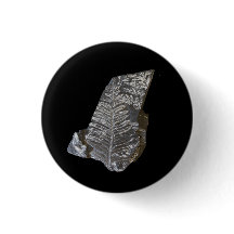 Fossilisierte Fern-Blätter Rock Nature Fotografy