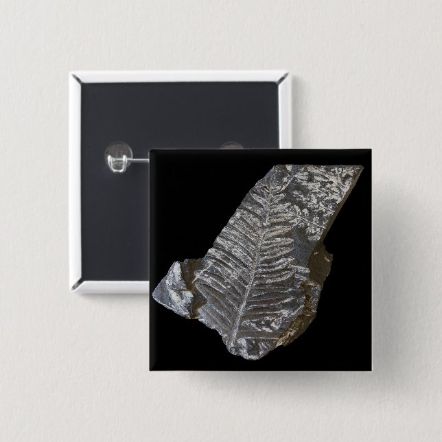 Fossilisierte Fern Leaf-Blätter Naturfotografie Button (Vorne & Hinten)