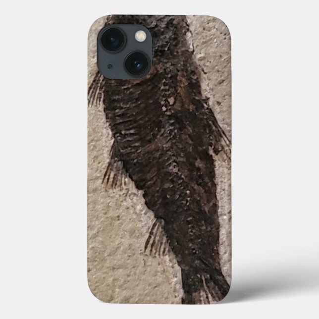 Fossilisierte Fische Case-Mate iPhone Hülle (Rückseite)