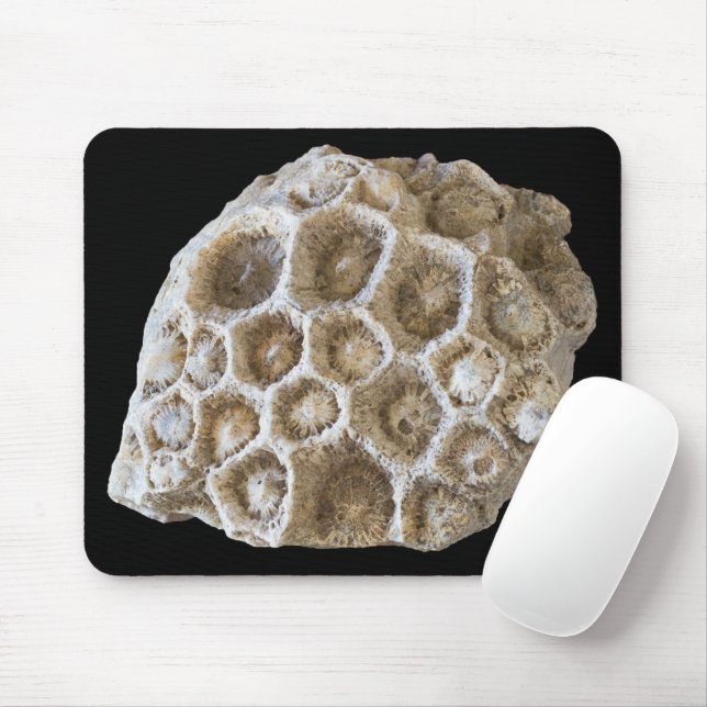 Fossilisierte Korallenrock-Naturfotografie Mousepad (Mit Mouse)