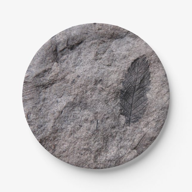 Fossilisierte Pflanze 350 Millionen Yr. Altes Foto Pappteller (Vorderseite)