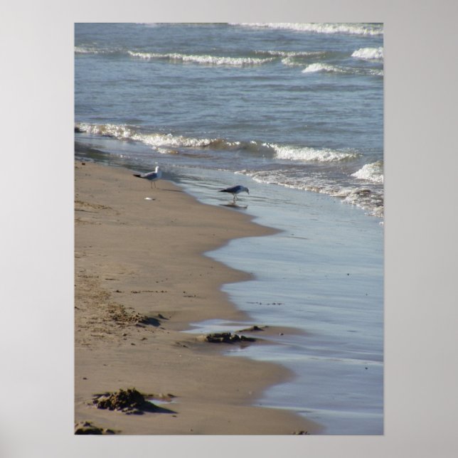 Foster Beach Poster (Vorne)