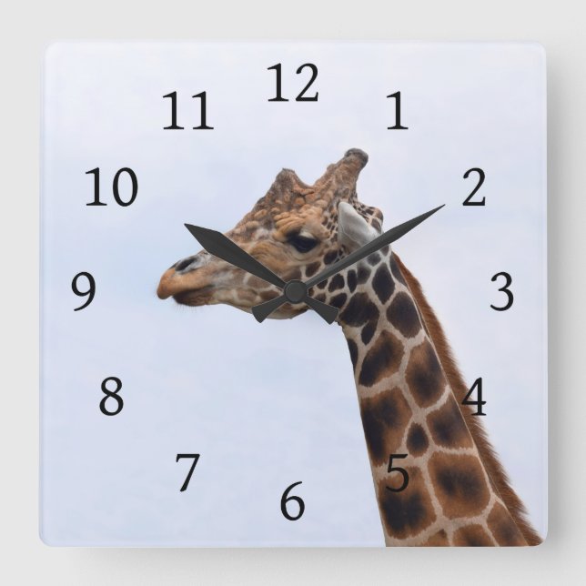 Foto 106 Giraffe Quadratische Wanduhr (Vorderseite)